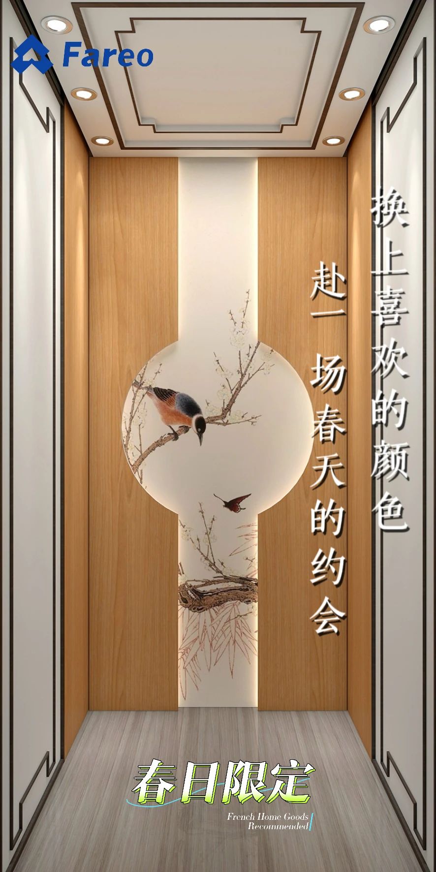 法立奧極簡(jiǎn)別墅電梯廠家