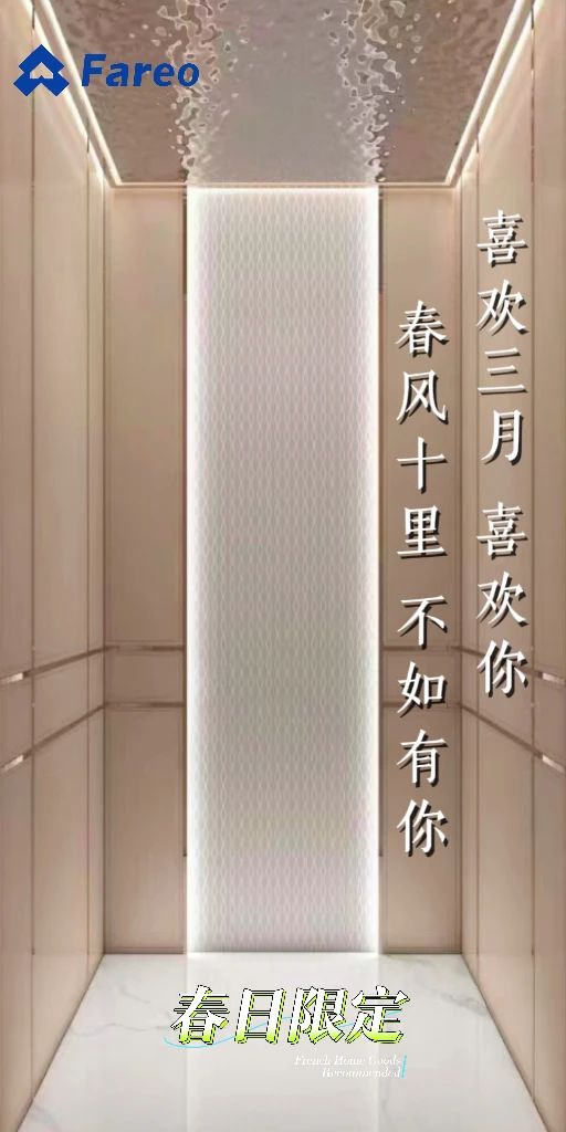 法立奧極簡(jiǎn)別墅電梯品牌